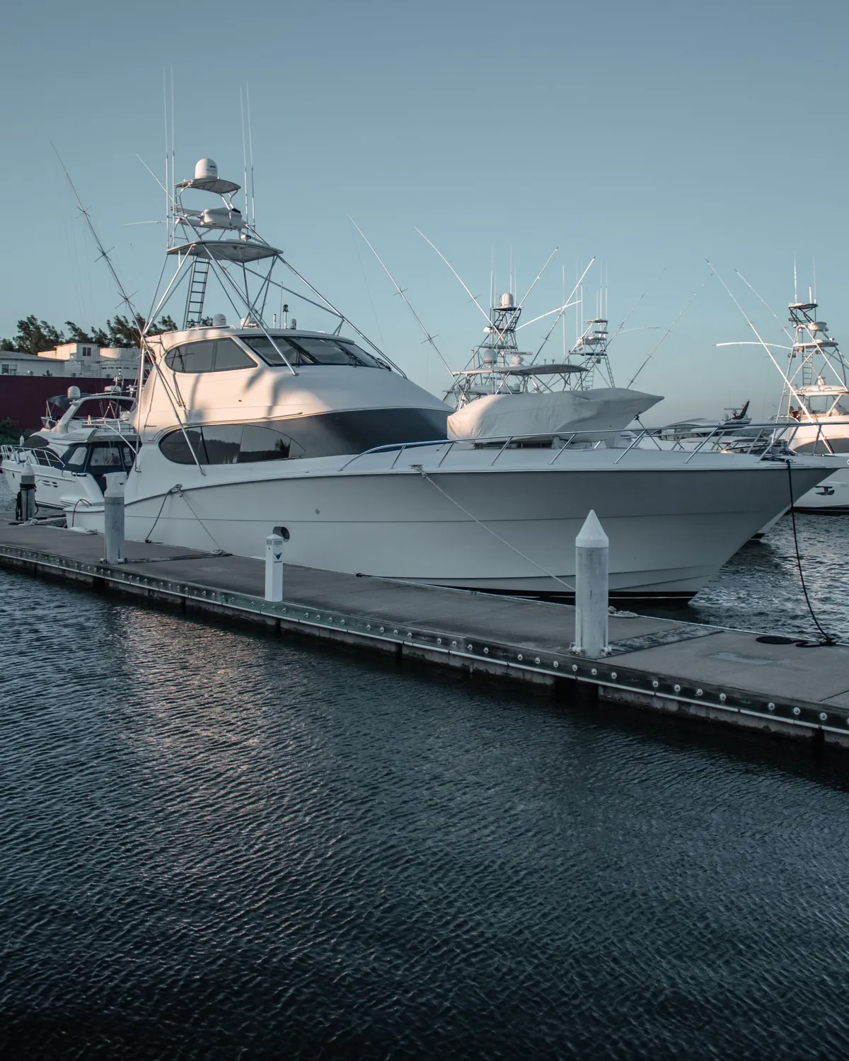 Sport fishing yacht at a marina berth in cool morning light